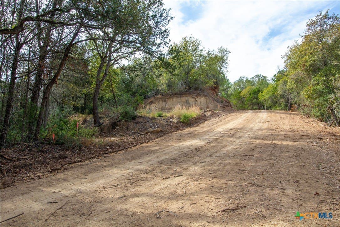 0.3 acres in Bastrop County gallery image 3