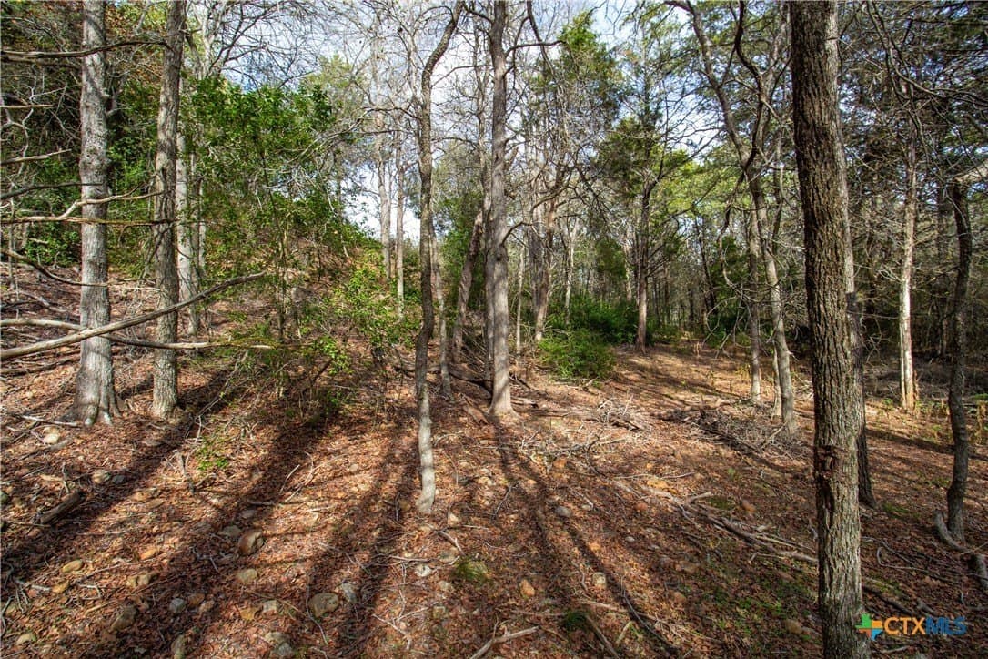 0.3 acres in Bastrop County - photo 8