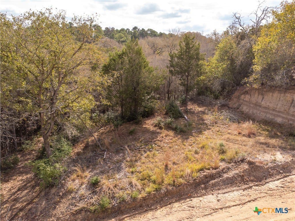 0.3 acres in Bastrop County - photo 20