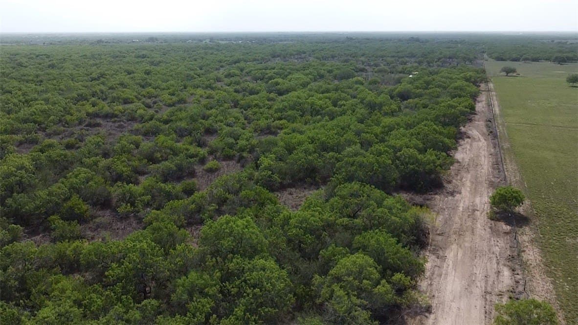 40 acres in Brooks County - photo 7