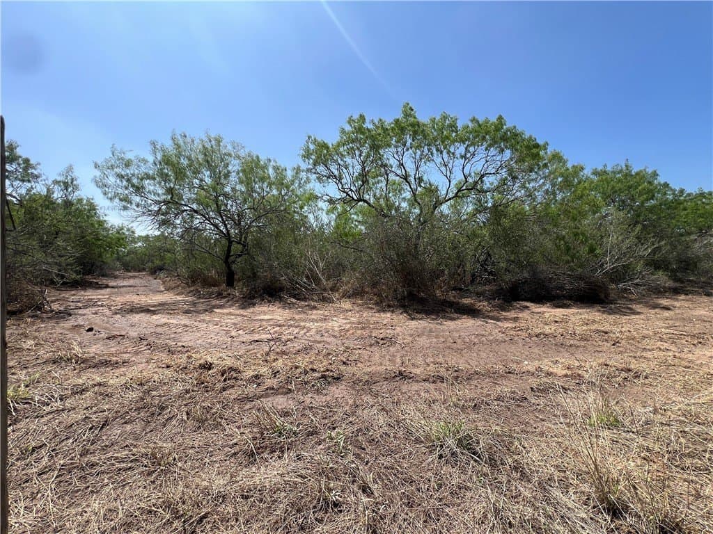 40 acres in Brooks County - photo 4