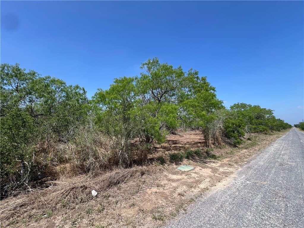 40 acres in Brooks County - photo 5
