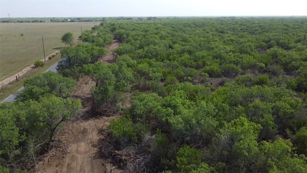 40 acres in Brooks County