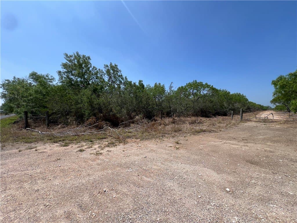 40 acres in Brooks County - photo 3