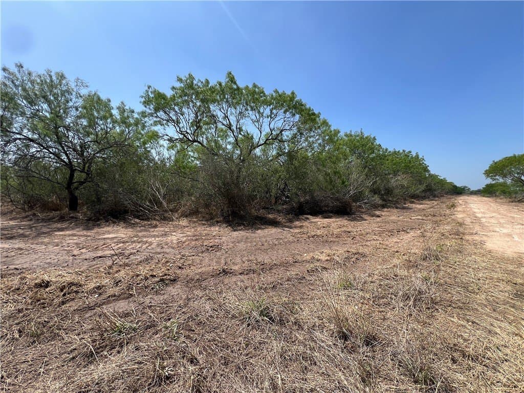 40 acres in Brooks County - photo 2