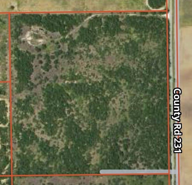 40 acres in Brooks County - photo 6