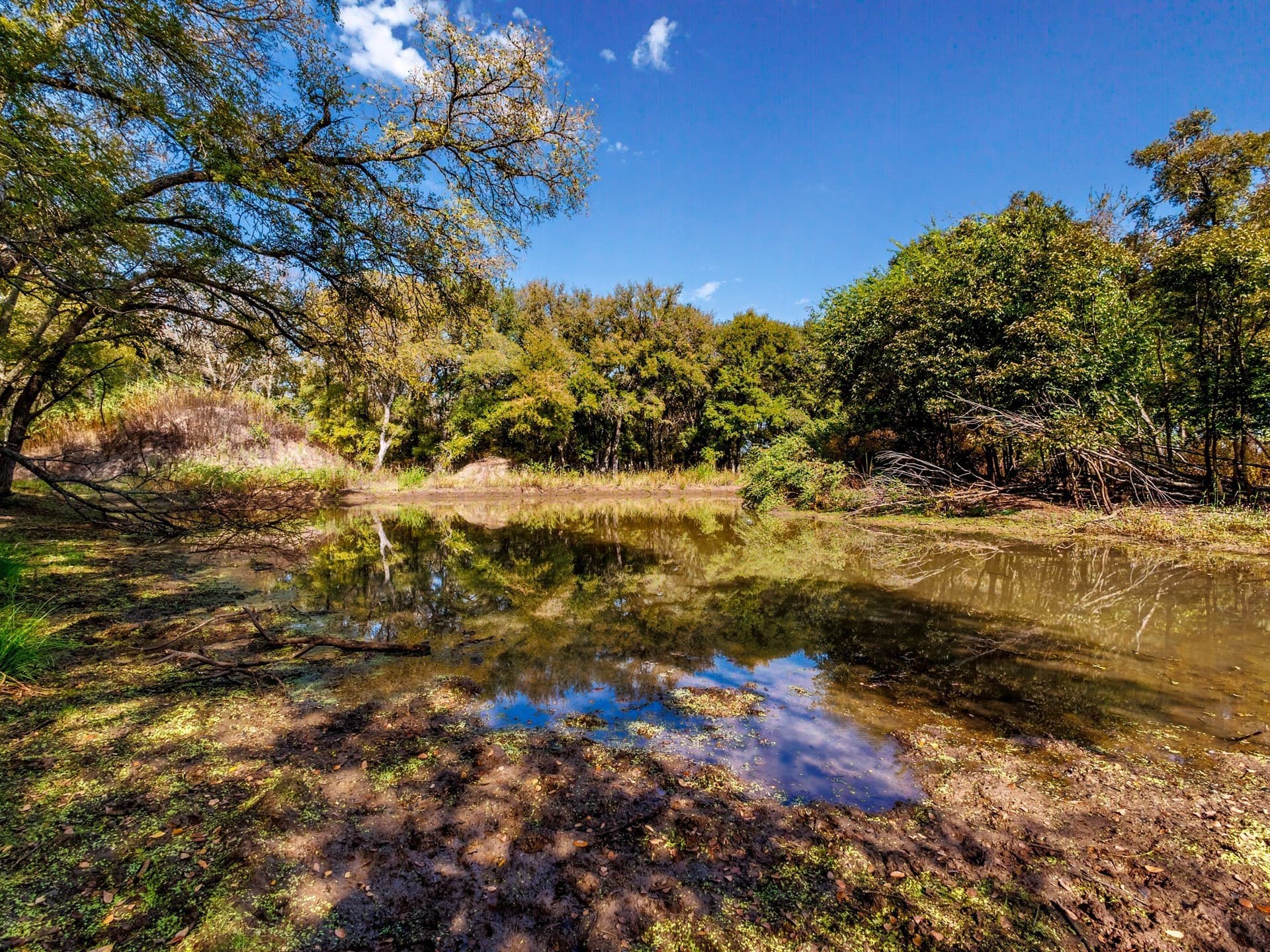 43 acres in Comanche County - photo 12