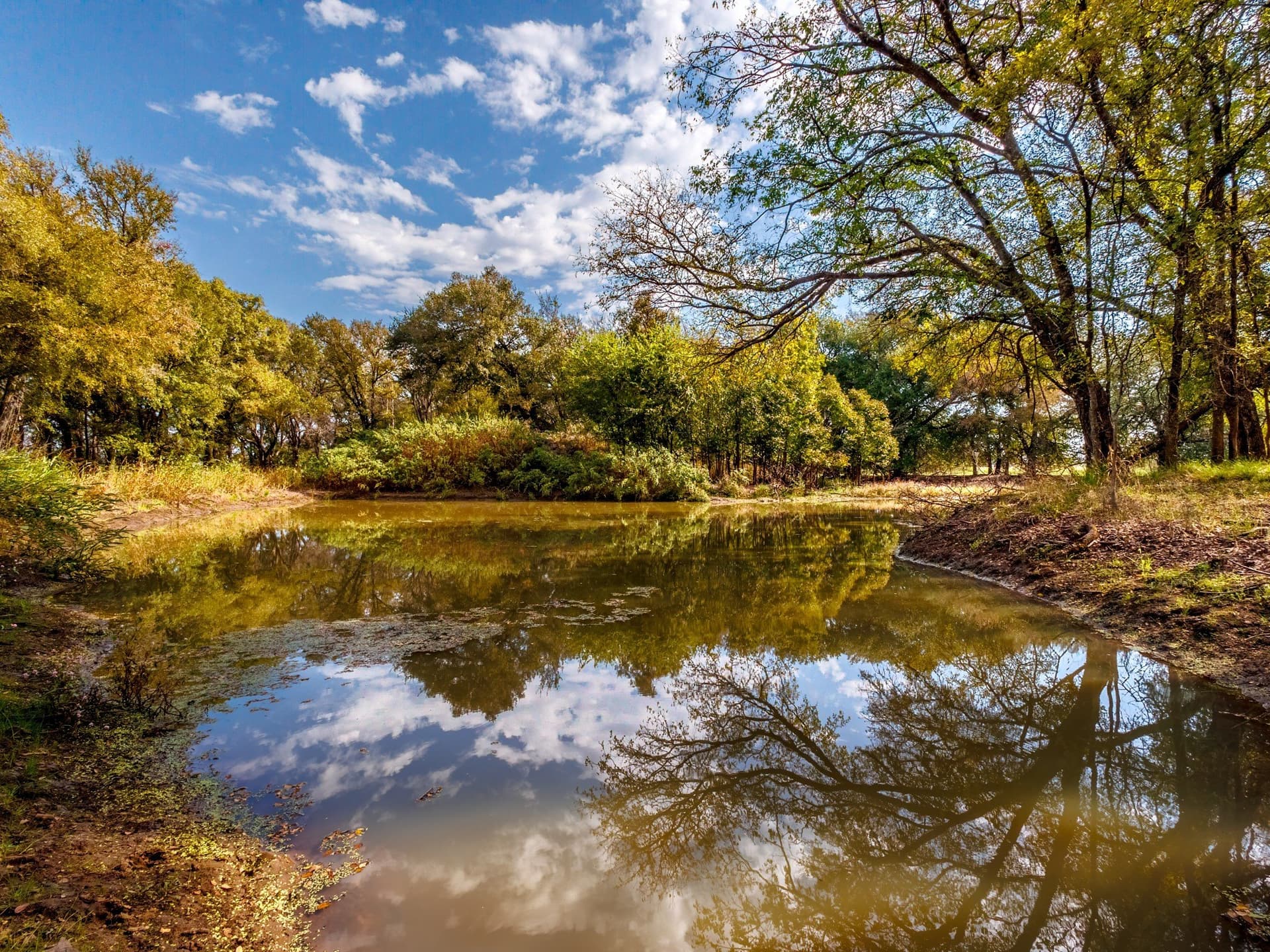 43 acres in Comanche County - photo 2
