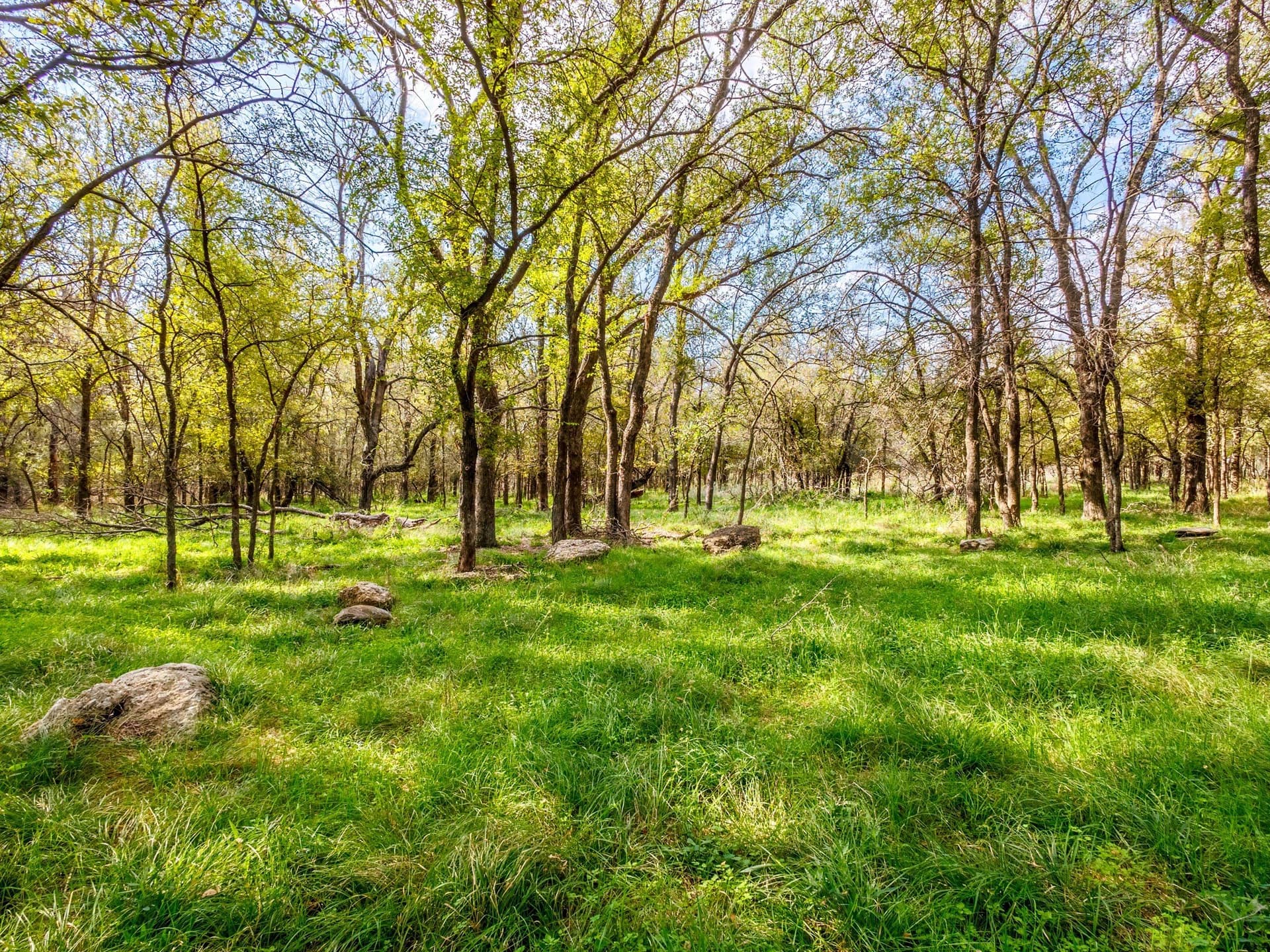 43 acres in Comanche County - photo 3