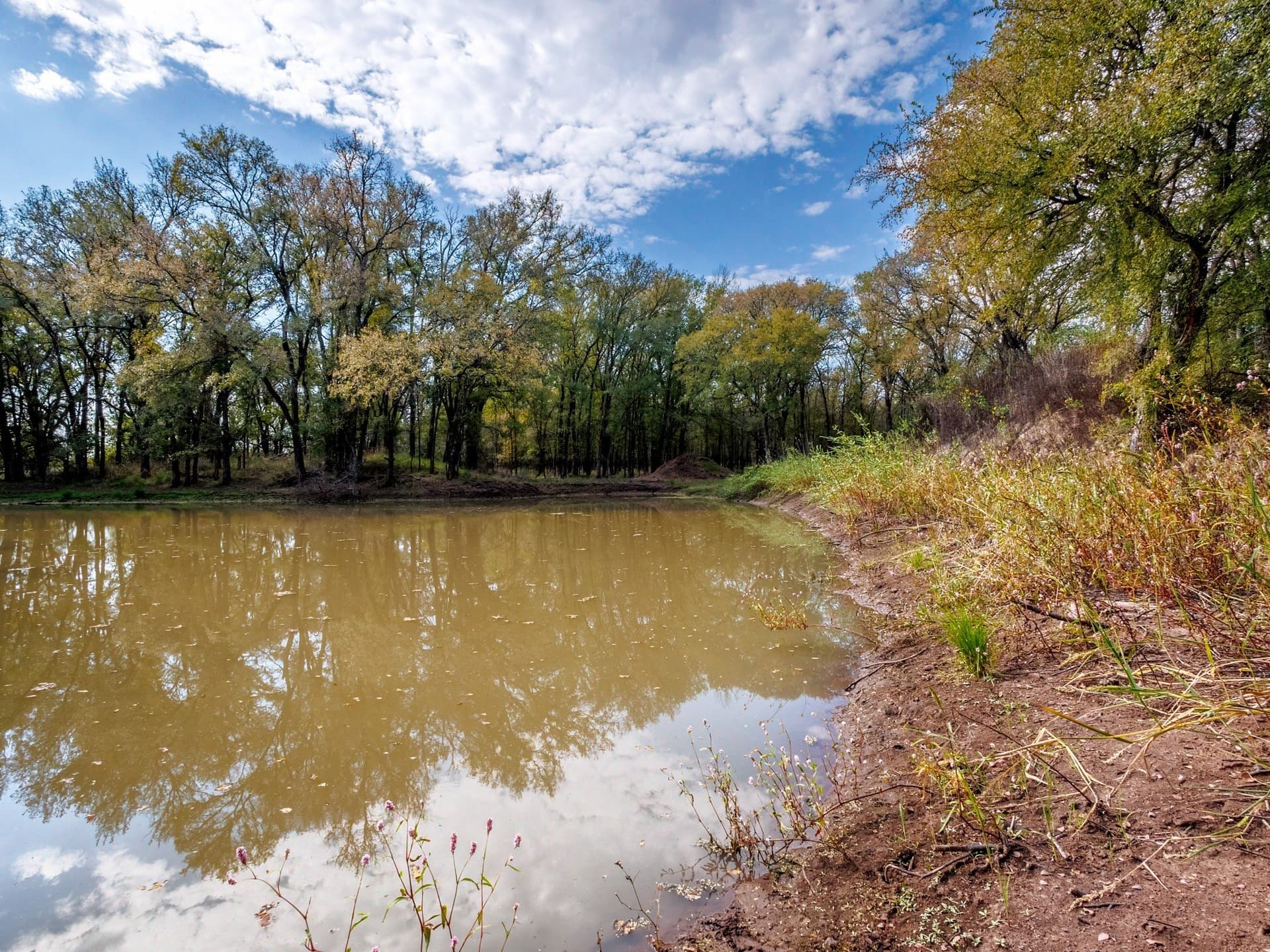 43 acres in Comanche County - photo 13