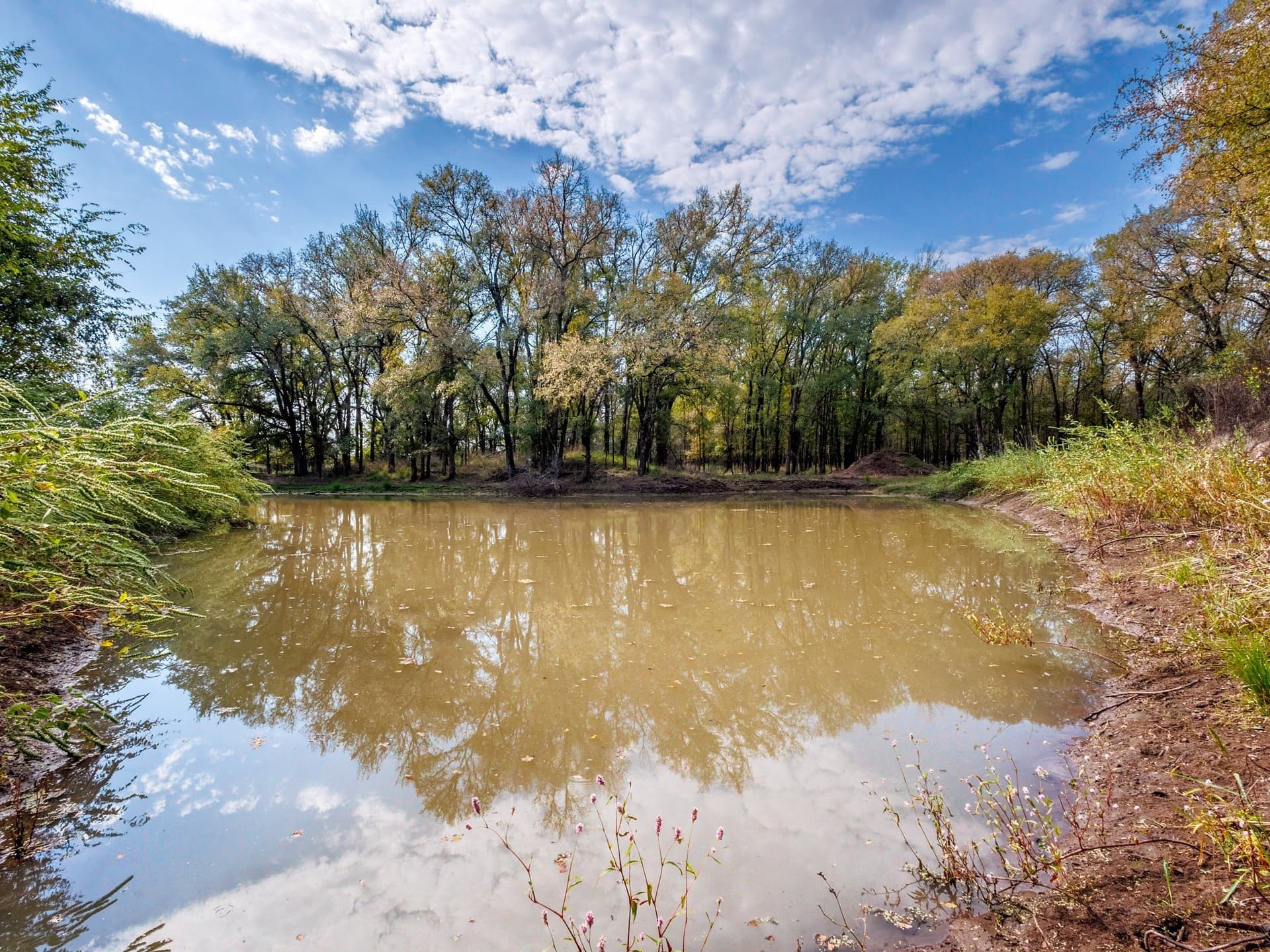 43 acres in Comanche County - photo 11