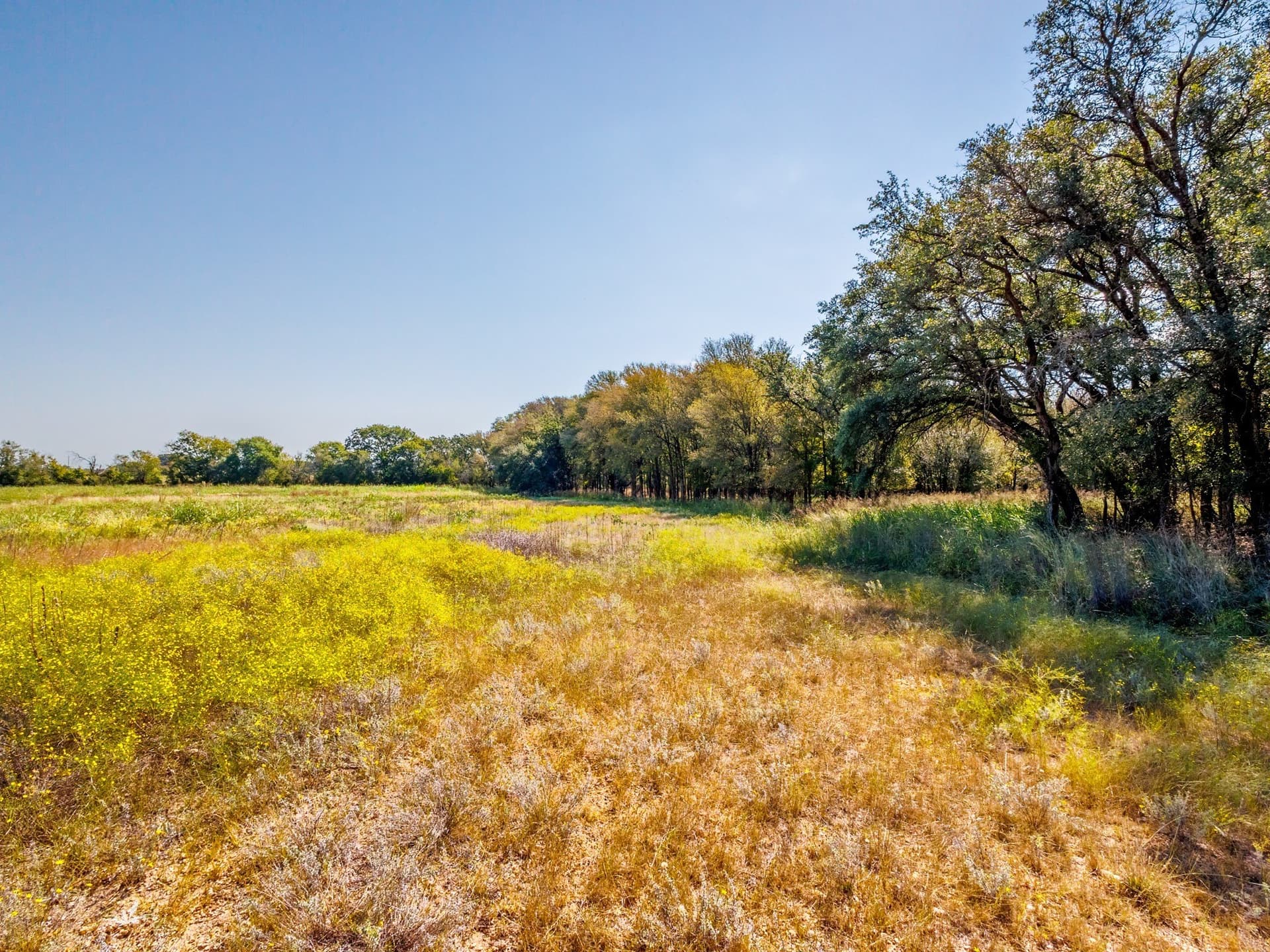 43 acres in Comanche County - photo 5