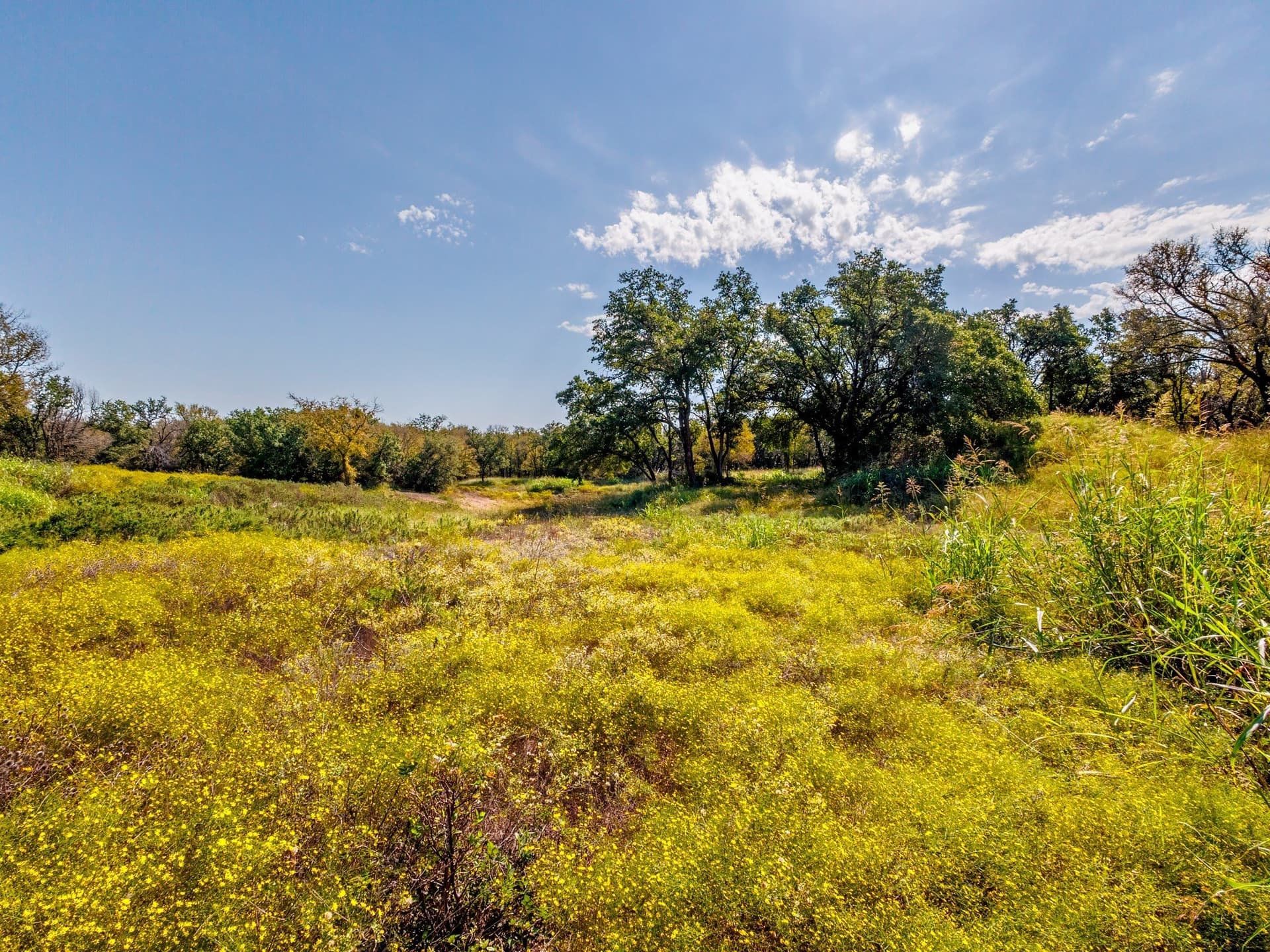 43 acres in Comanche County - photo 4