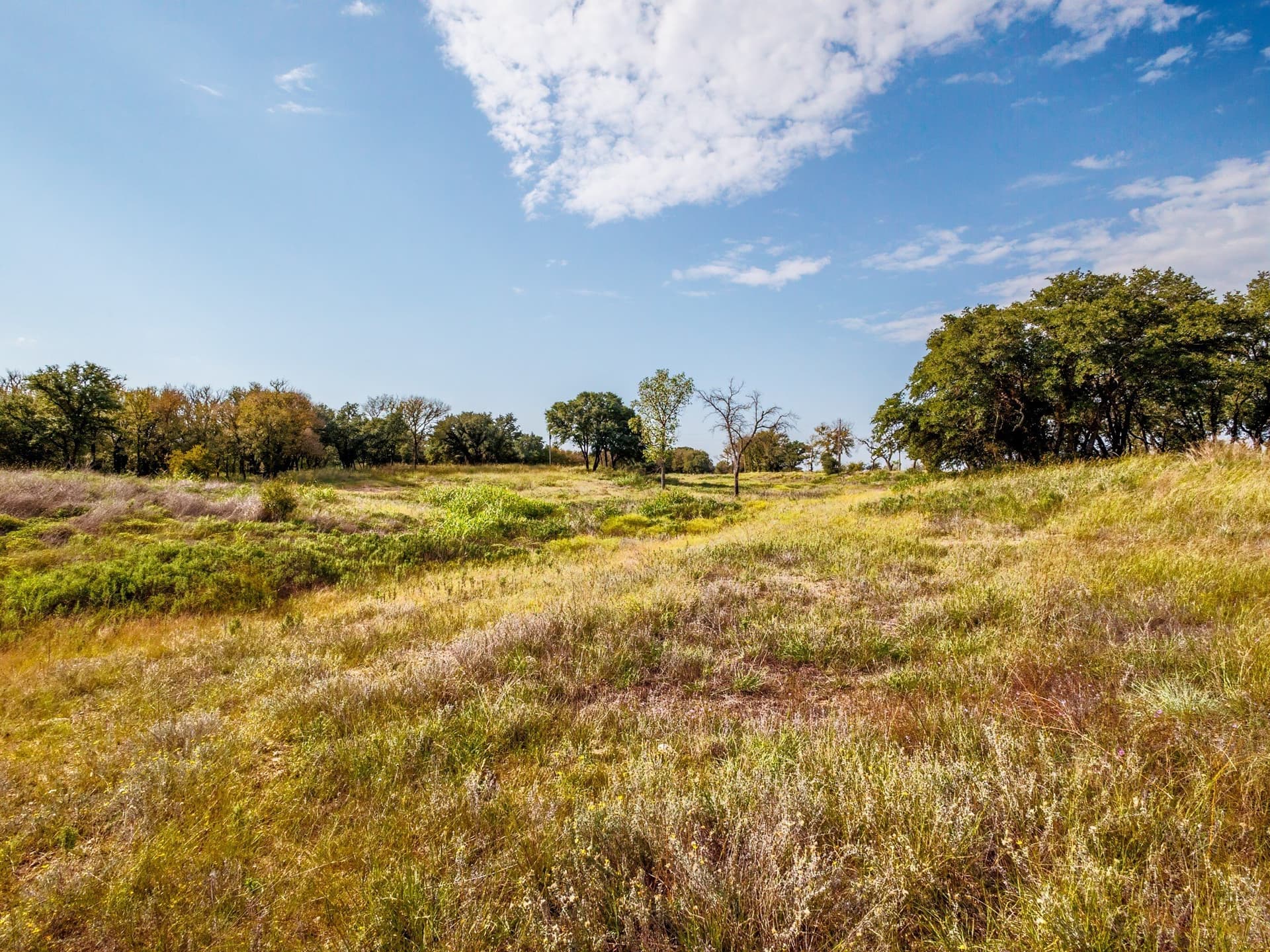 43 acres in Comanche County - photo 6