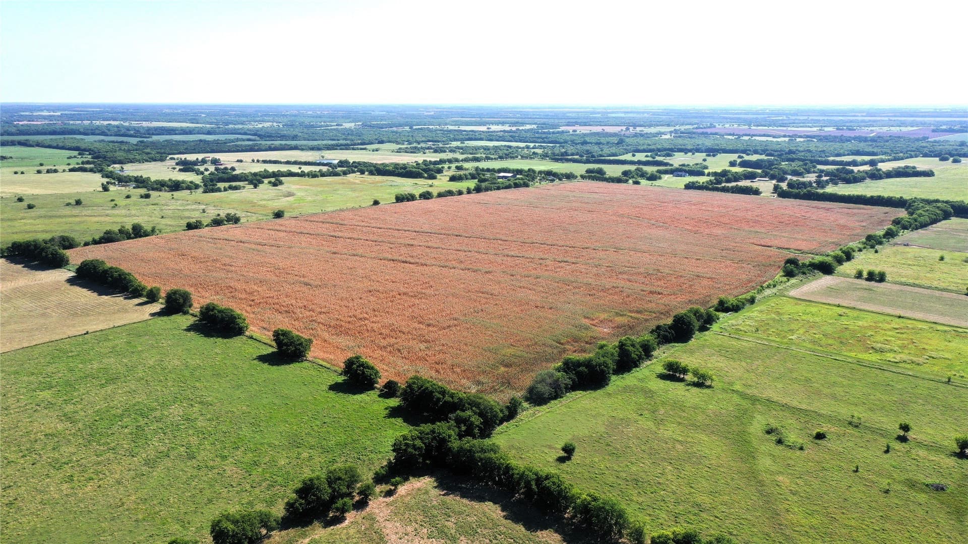 97.35 acres in Hunt County - photo 4