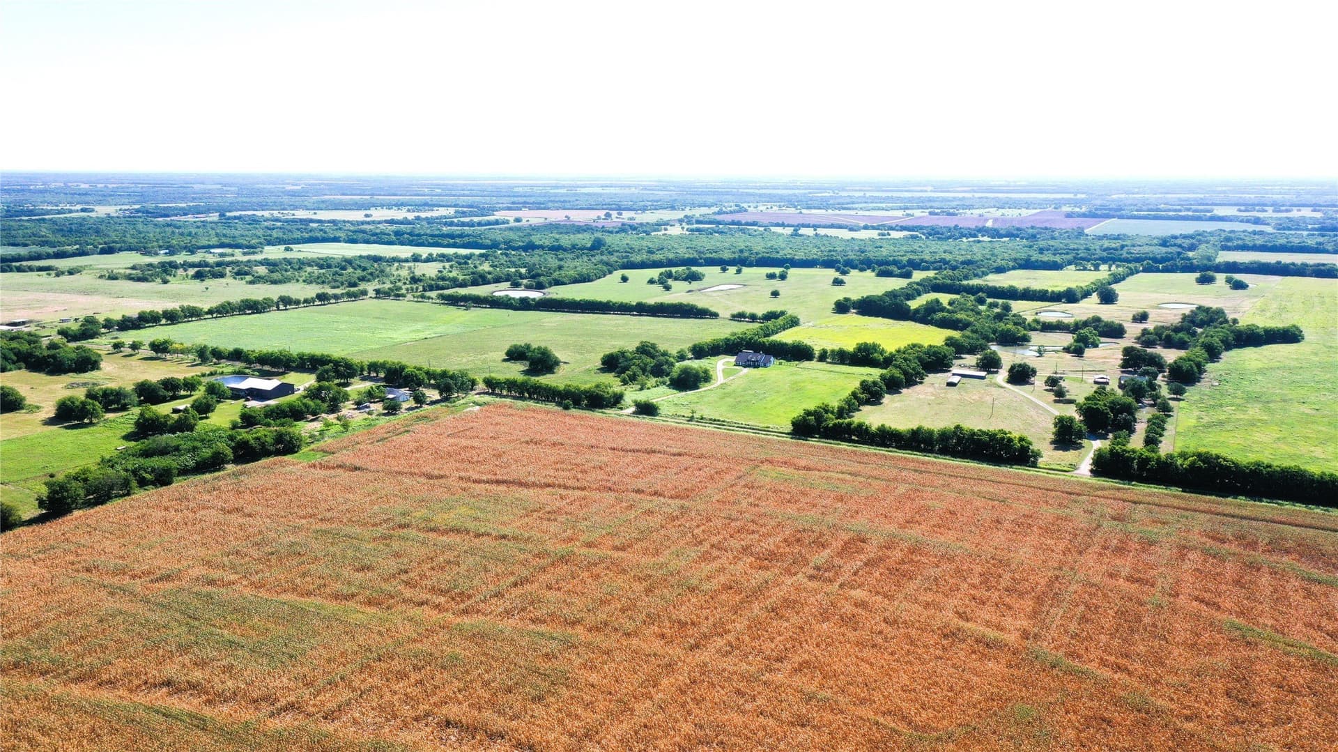 97.35 acres in Hunt County - photo 16