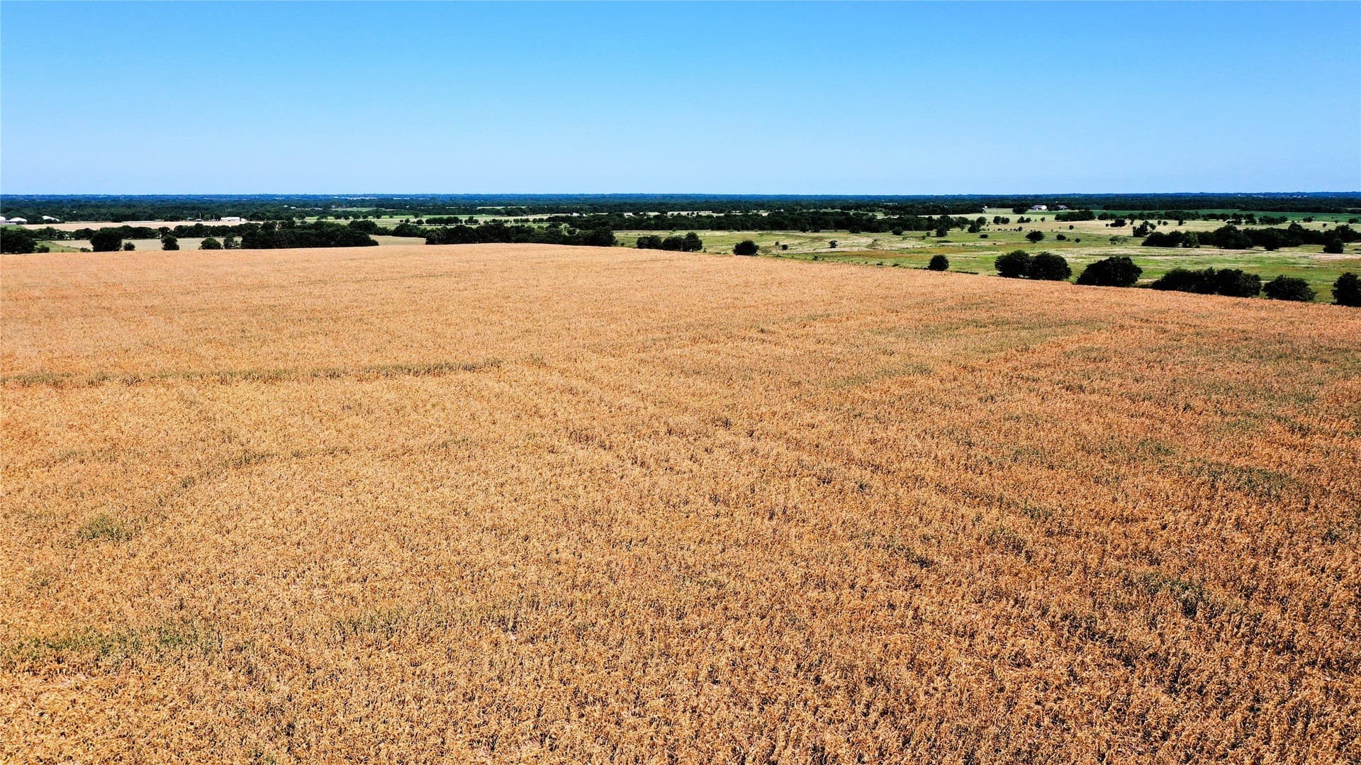 97.35 acres in Hunt County - photo 8