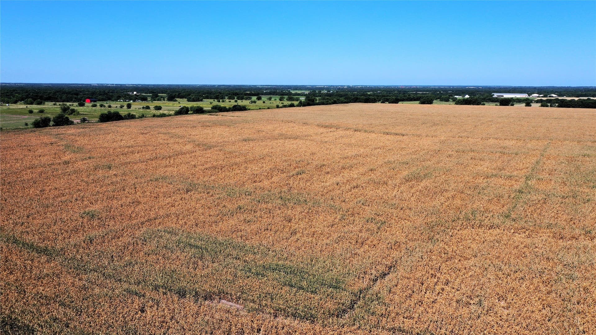 97.35 acres in Hunt County - photo 10