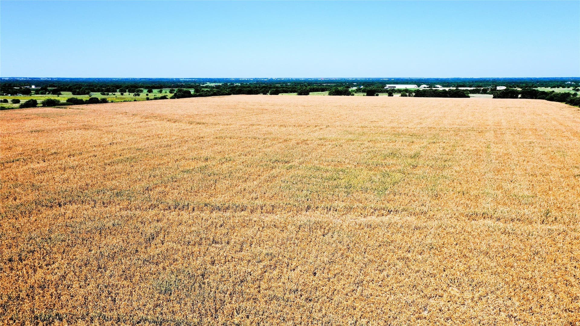 97.35 acres in Hunt County - photo 7