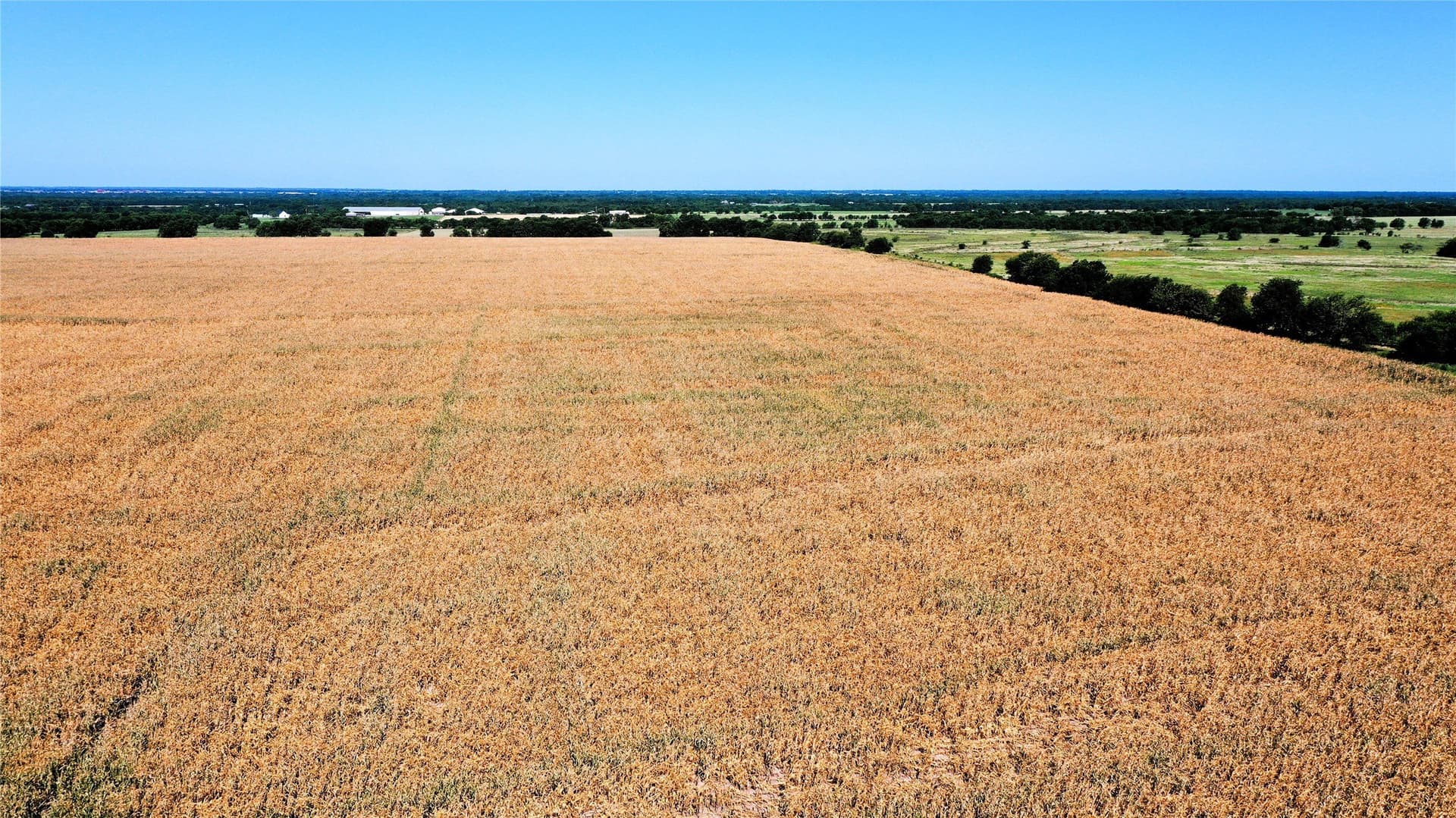 97.35 acres in Hunt County - photo 12