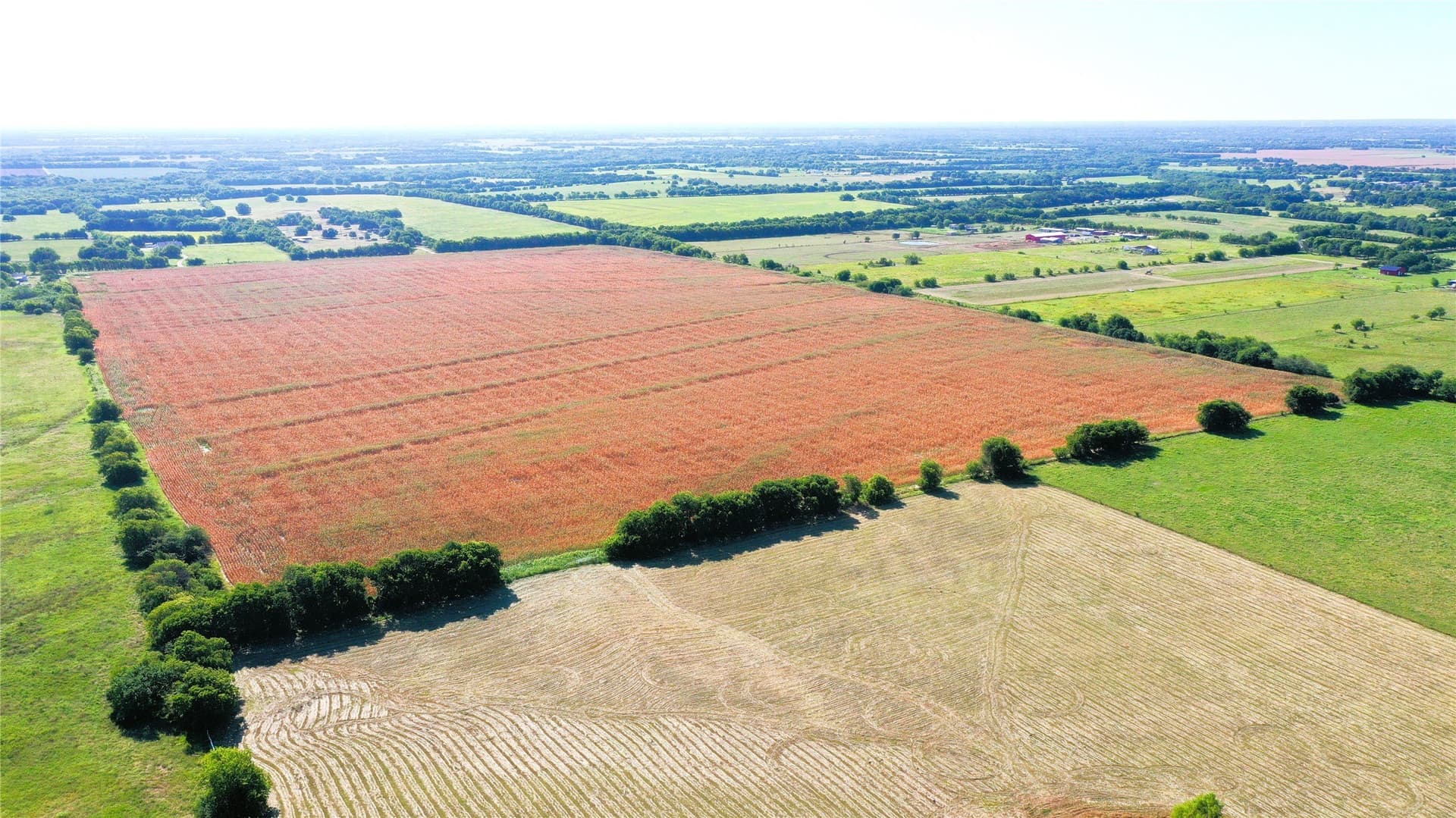97.35 acres in Hunt County - photo 3
