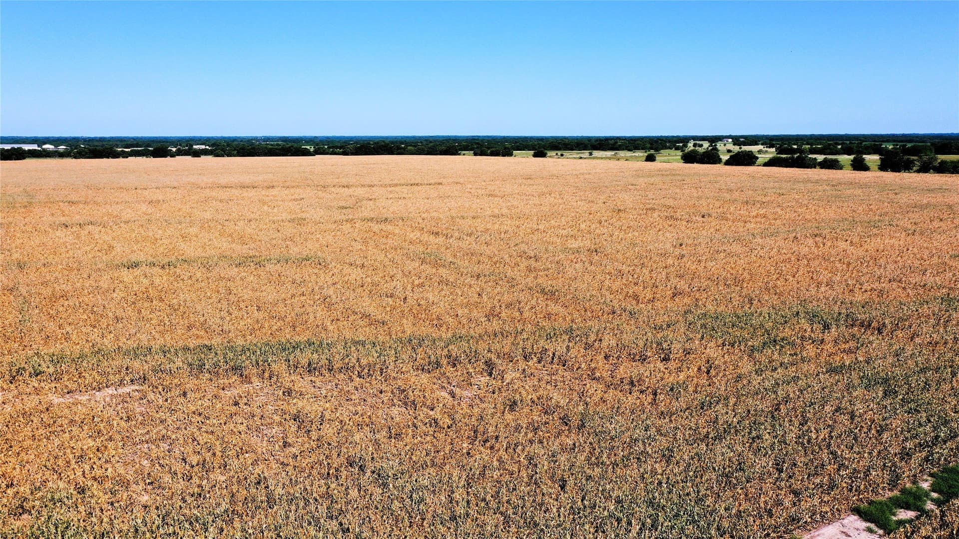 97.35 acres in Hunt County - photo 17