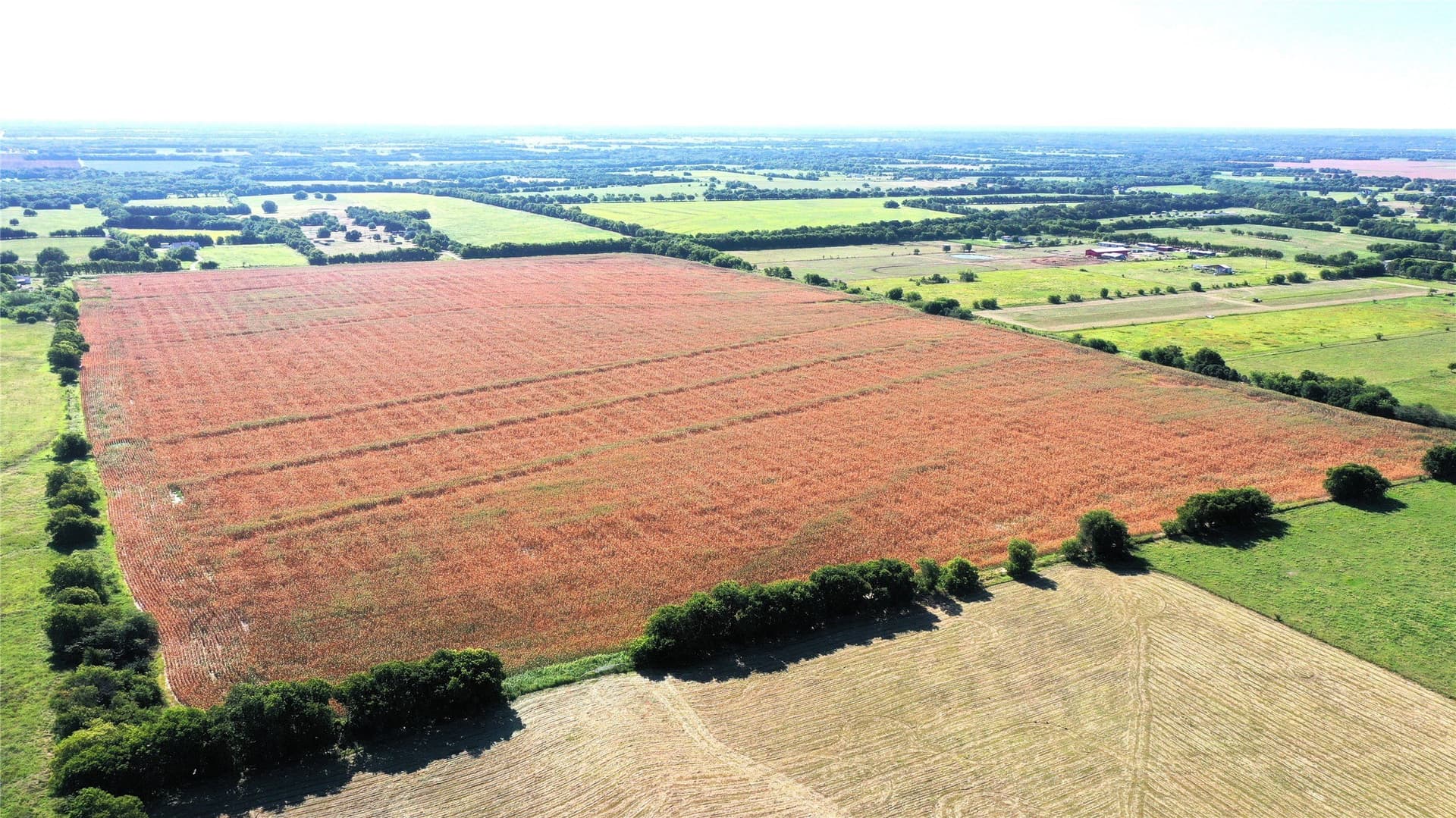 97.35 acres in Hunt County - photo 2