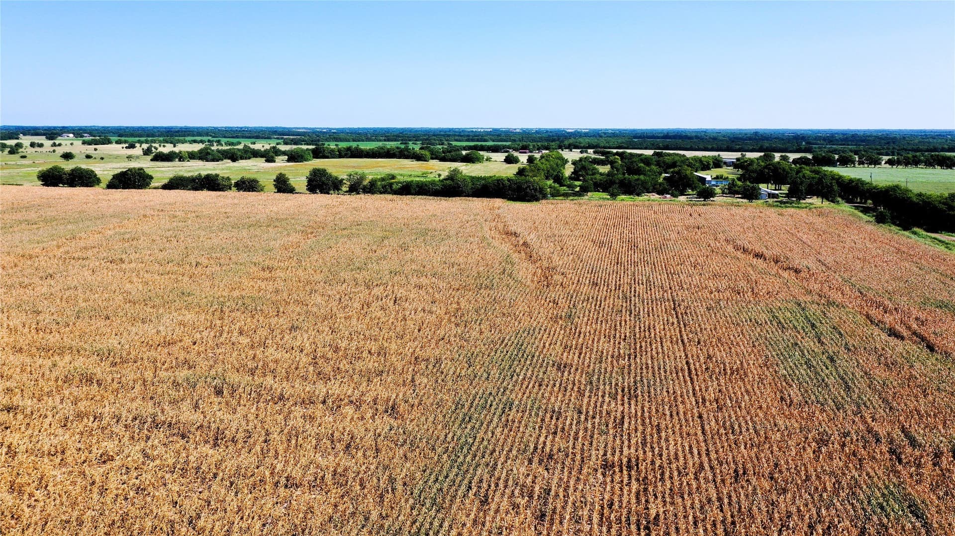 97.35 acres in Hunt County - photo 9