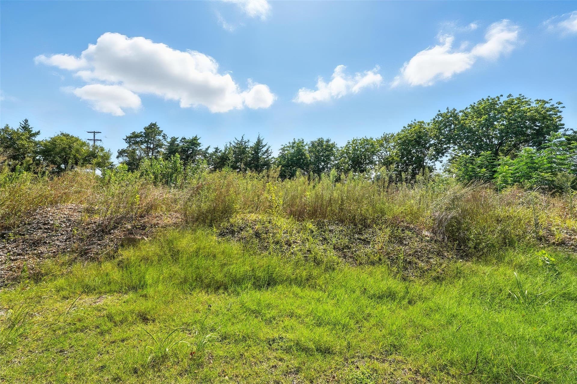 0.51 acres in Dallas County - photo 18