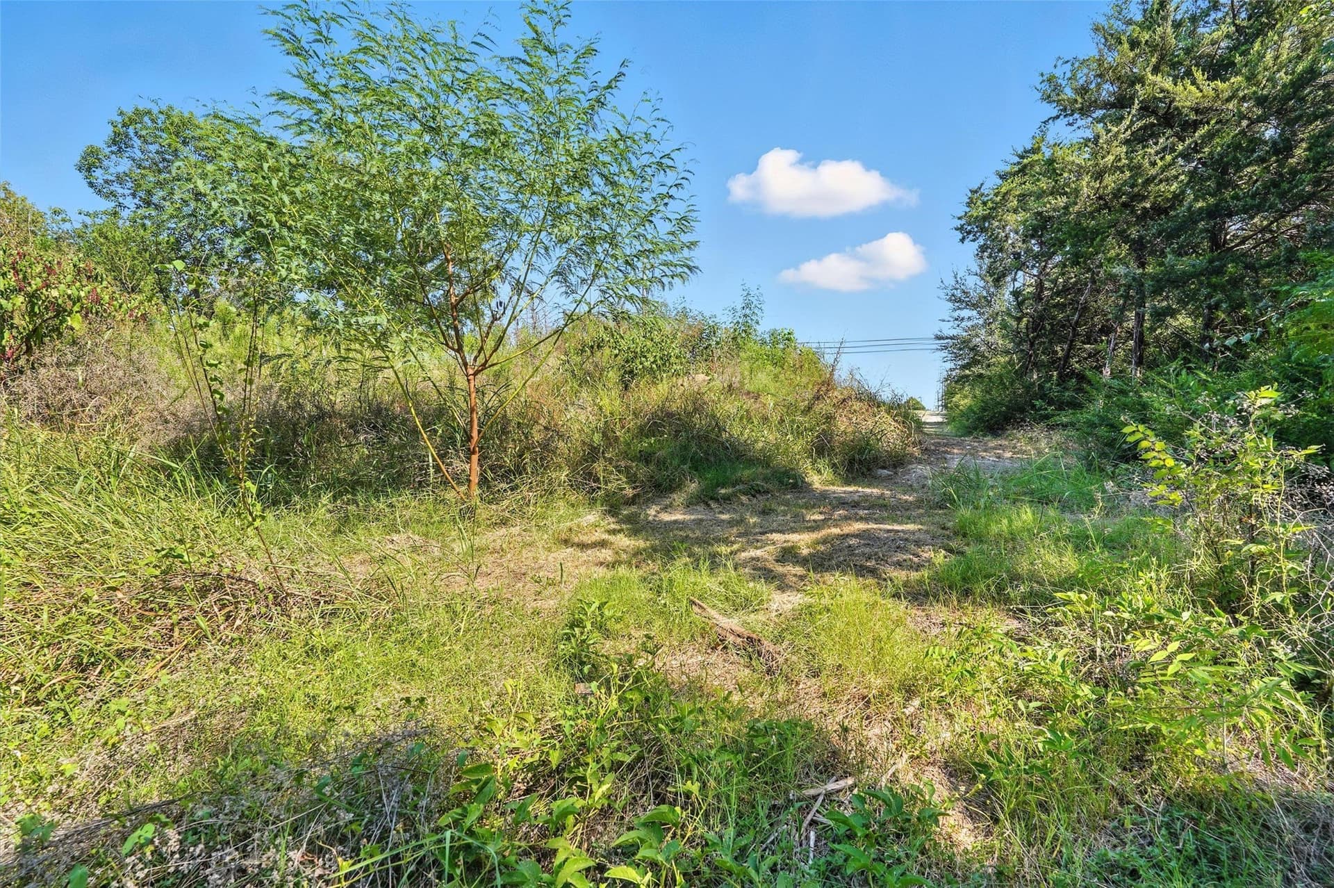 0.51 acres in Dallas County - photo 21