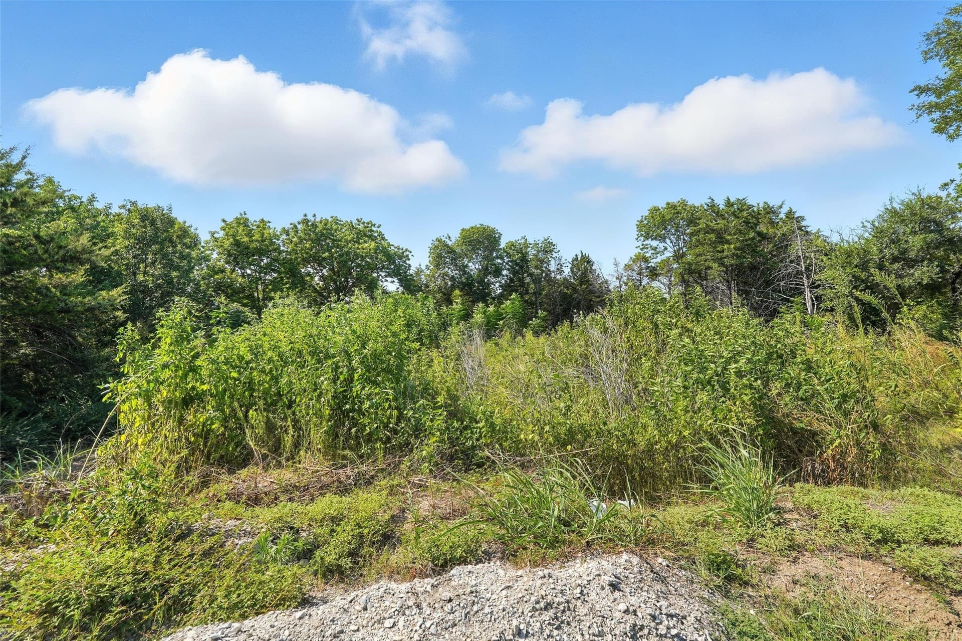 0.51 acres in Dallas County - photo 23