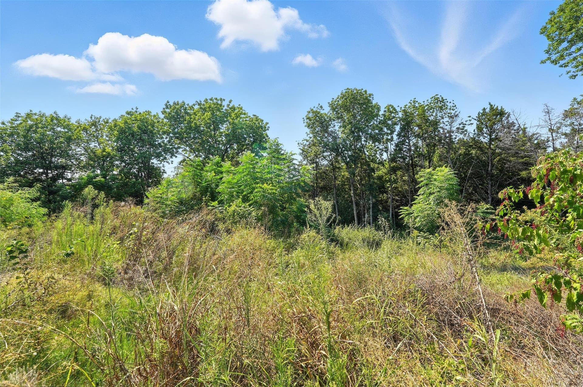 0.51 acres in Dallas County - photo 19