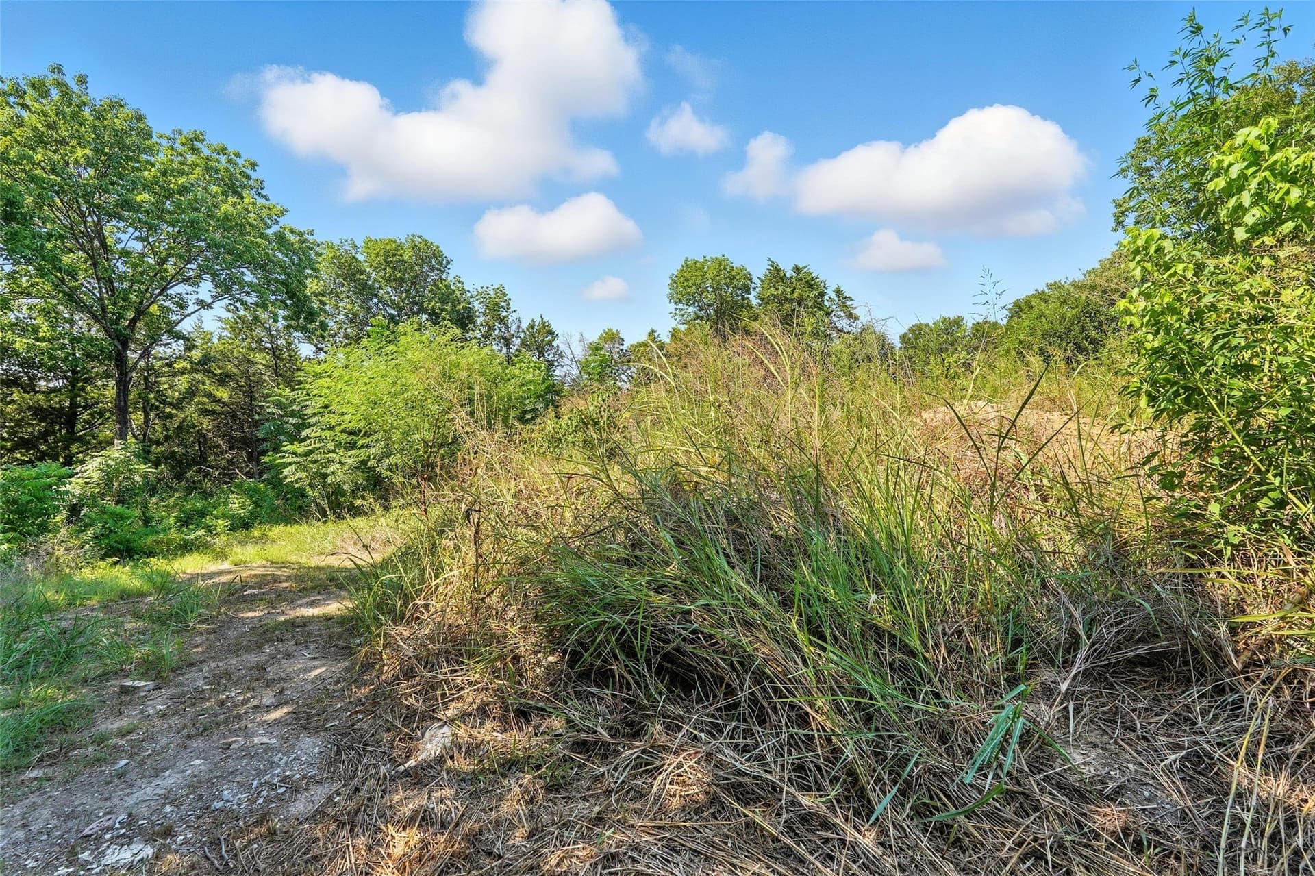 0.51 acres in Dallas County - photo 20