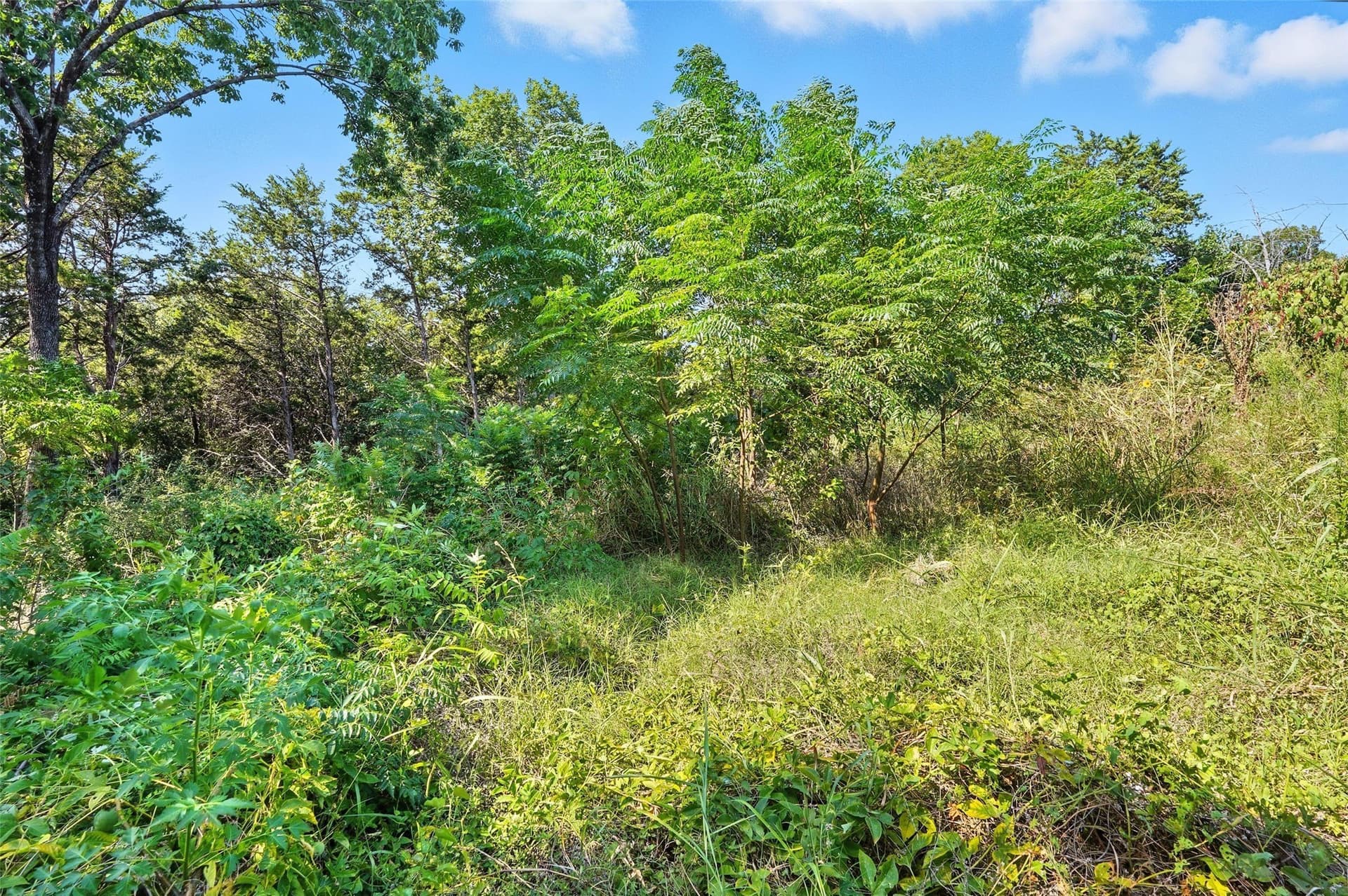 0.51 acres in Dallas County - photo 22