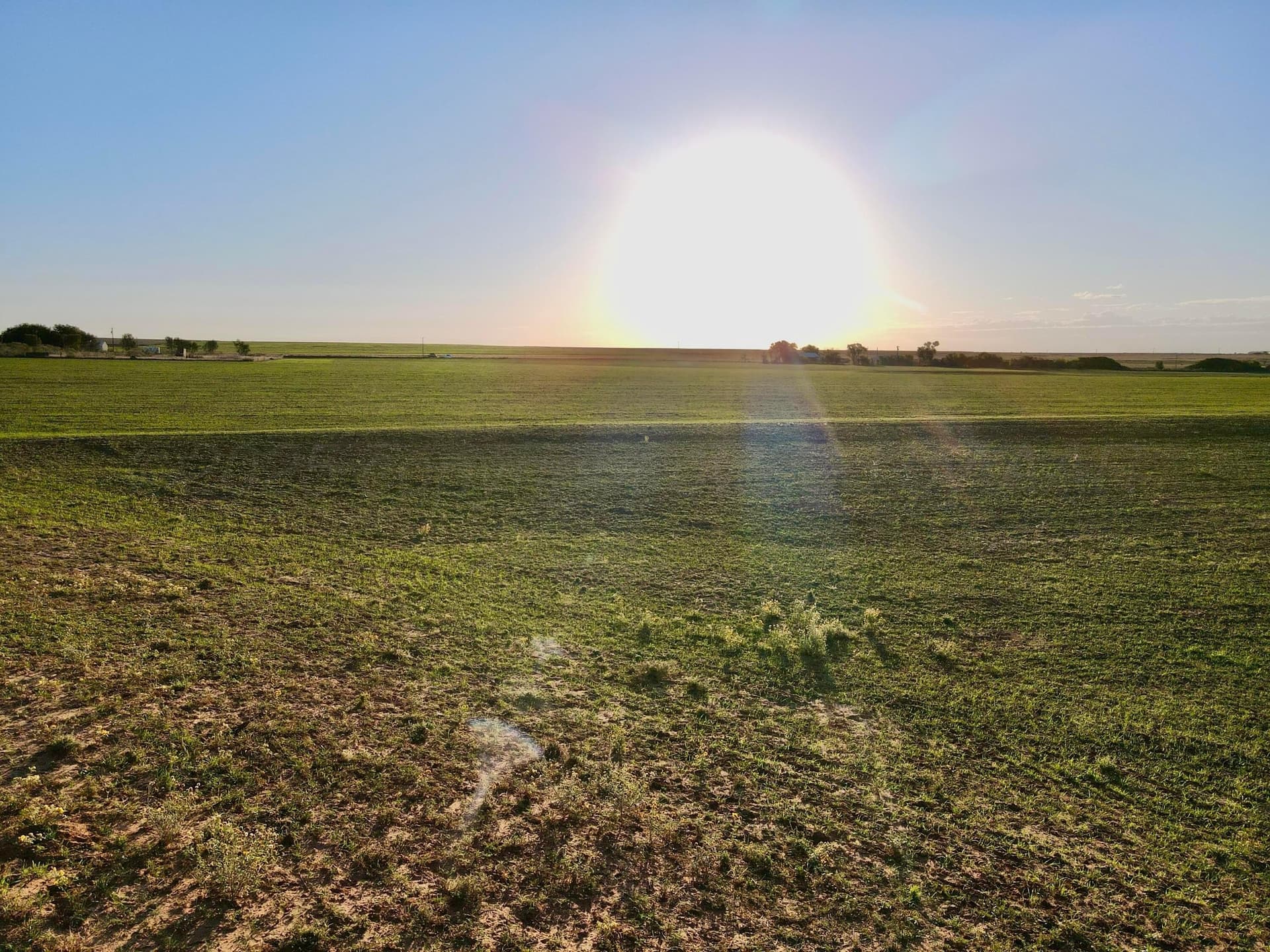 20 acres in Hall County gallery image 4