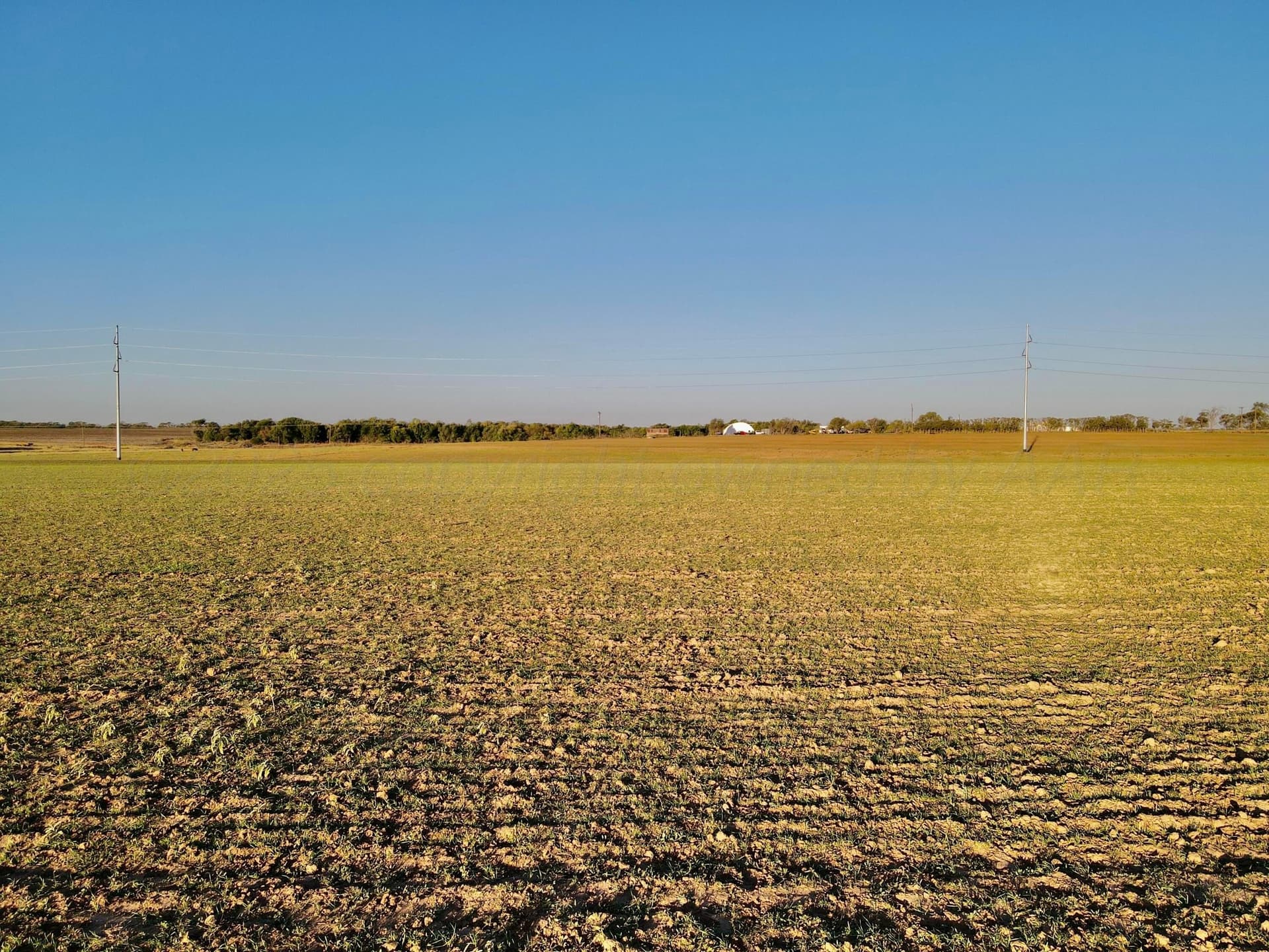 20 acres in Hall County gallery image 2