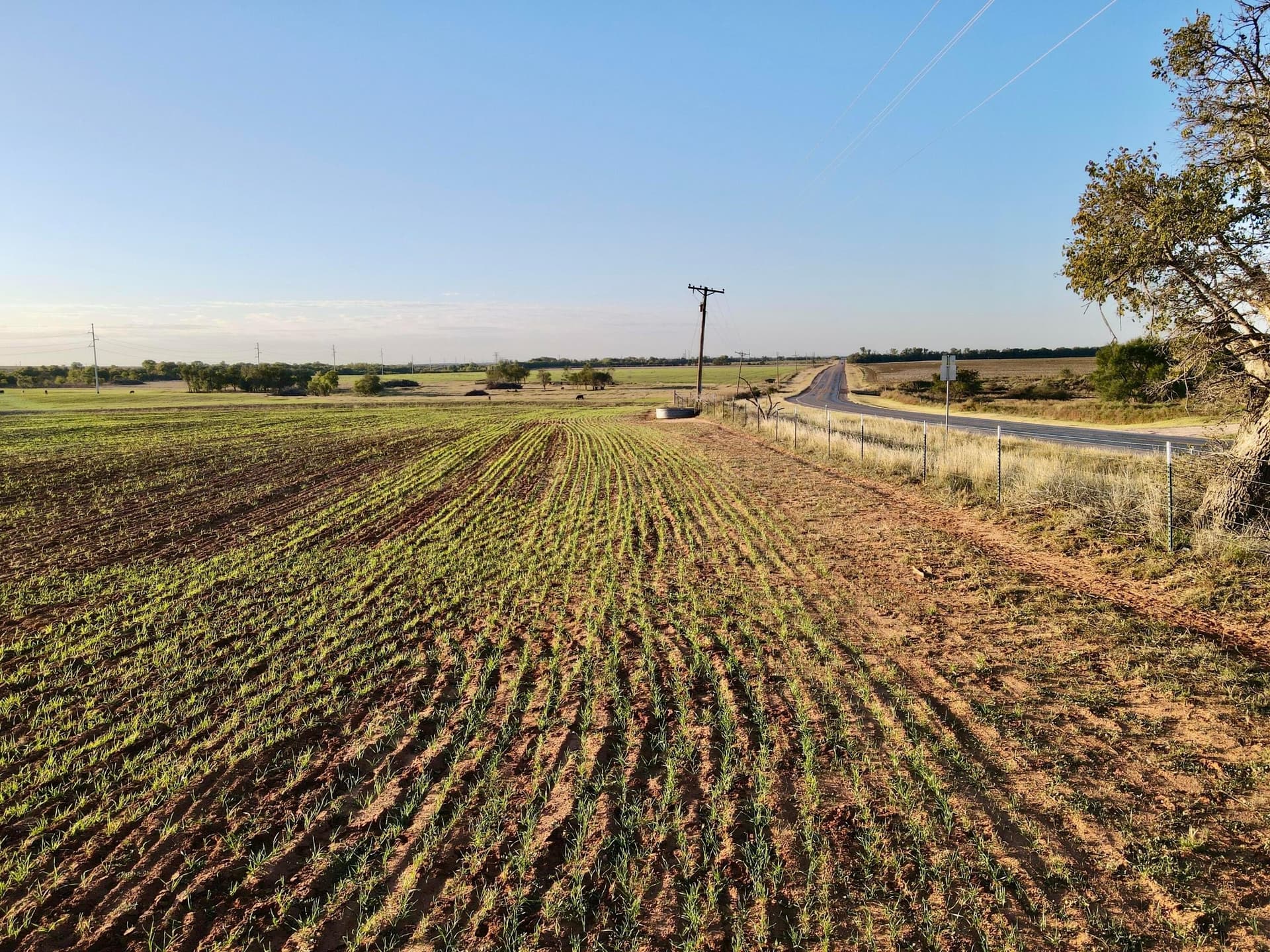 20 acres in Hall County featured view