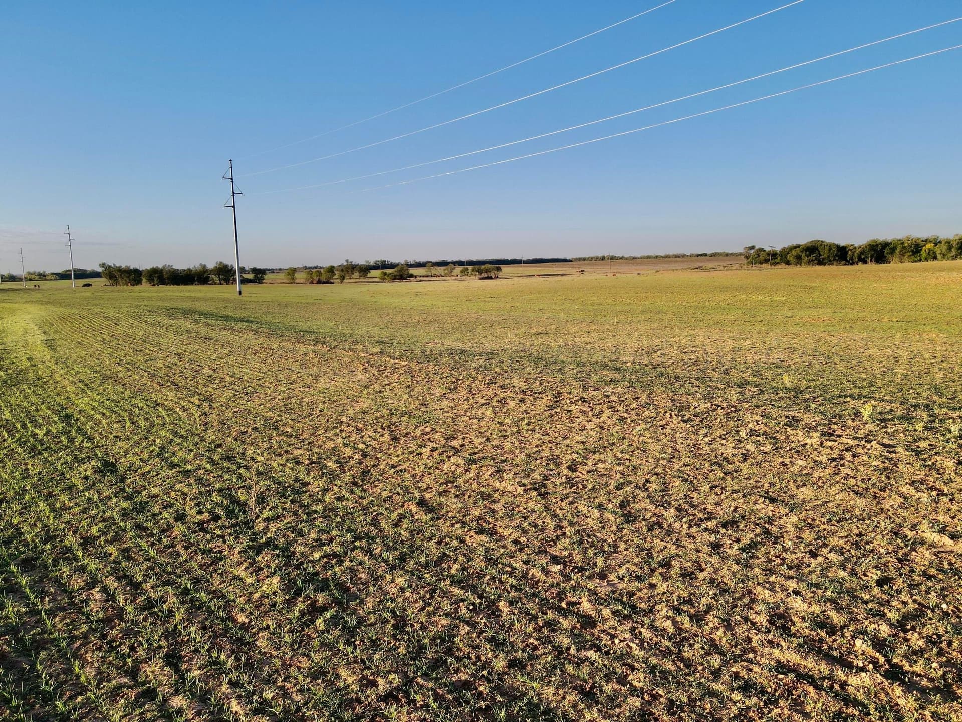 20 acres in Hall County gallery image 3