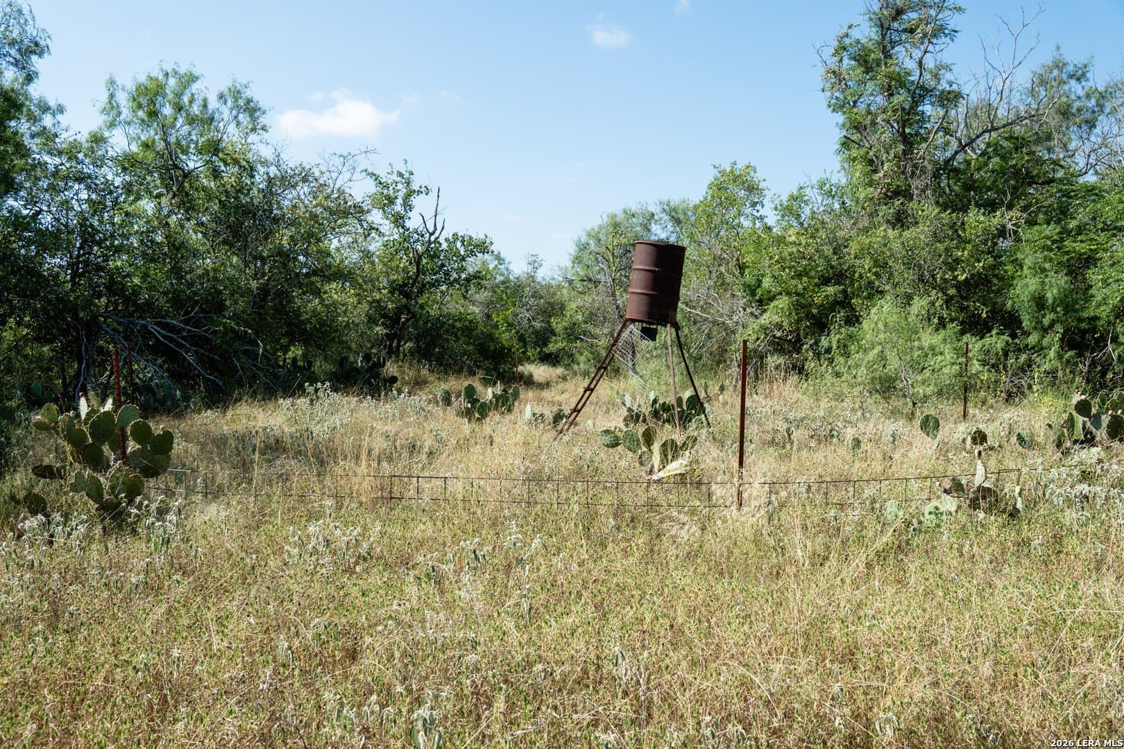 17 acres in Atascosa County - photo 6