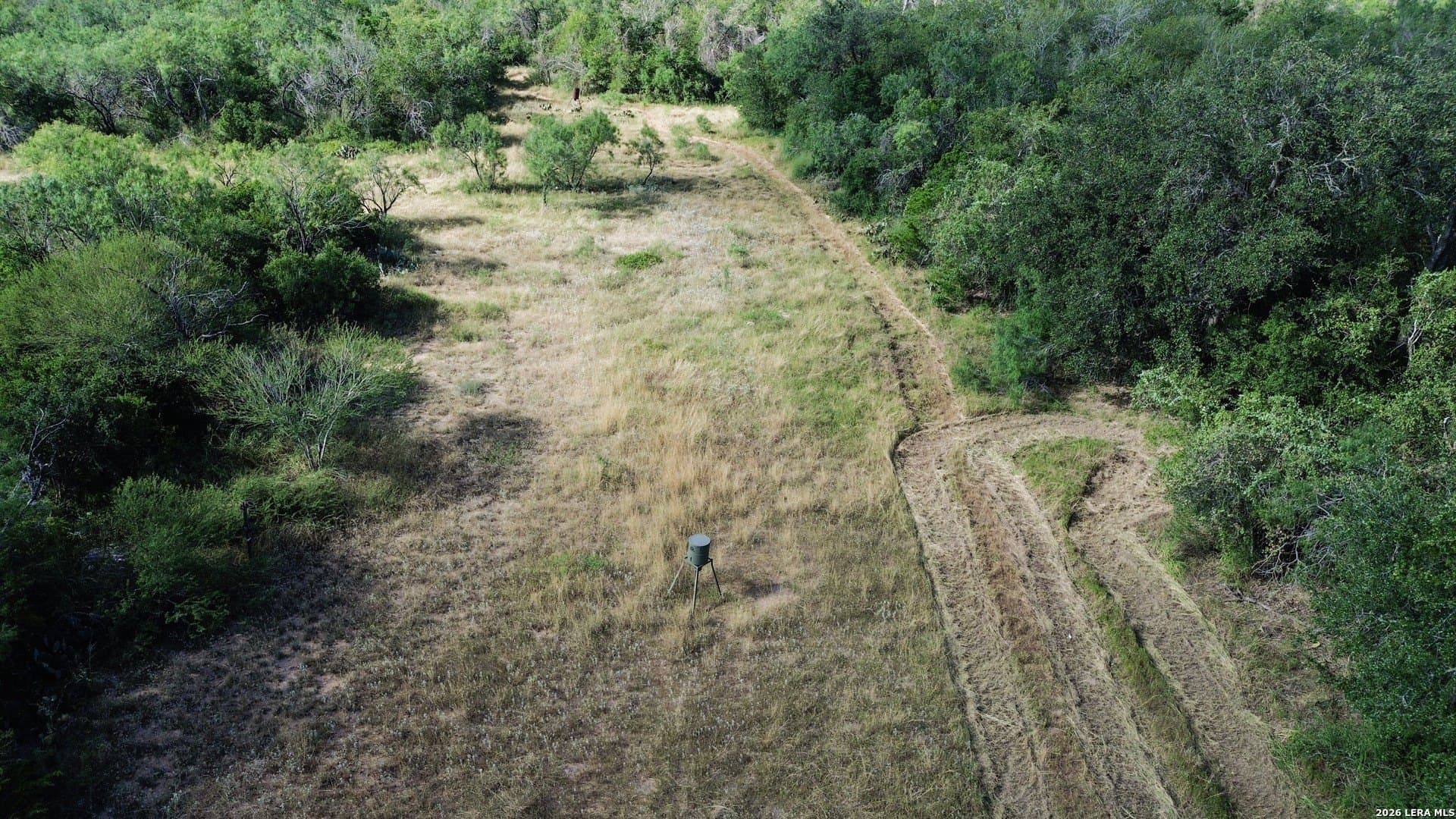 17 acres in Atascosa County - photo 4