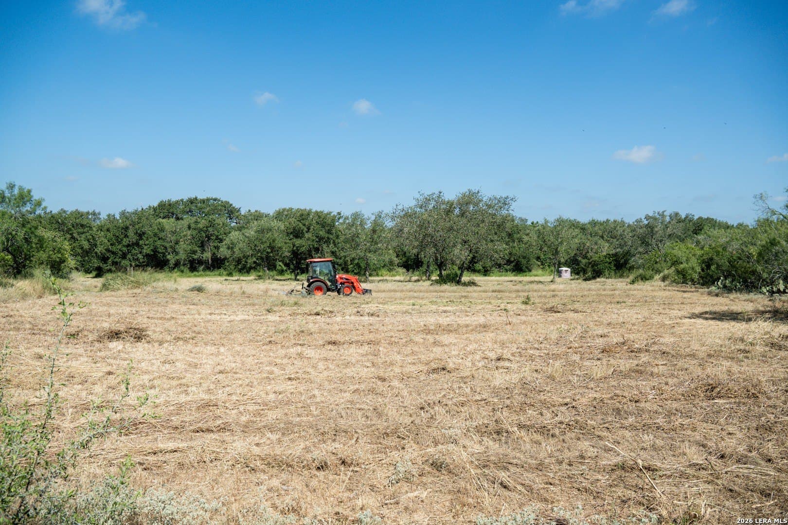 17 acres in Atascosa County - photo 5