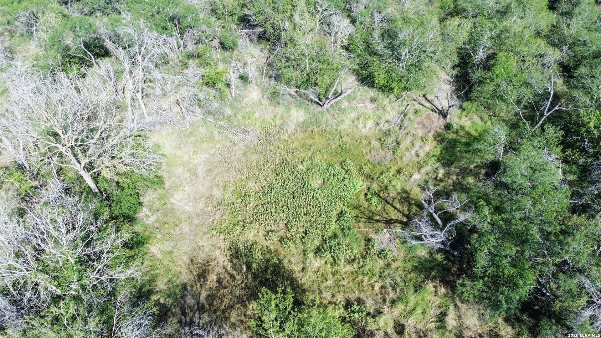 17 acres in Atascosa County - photo 3