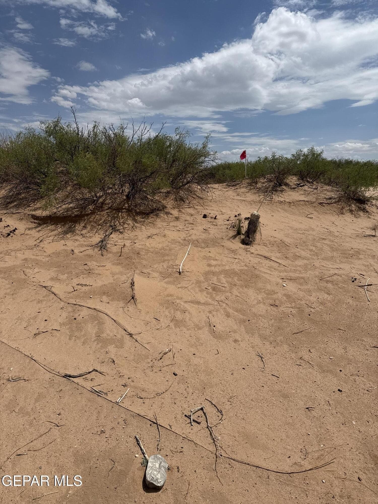 0.46 acres in El Paso County - photo 5