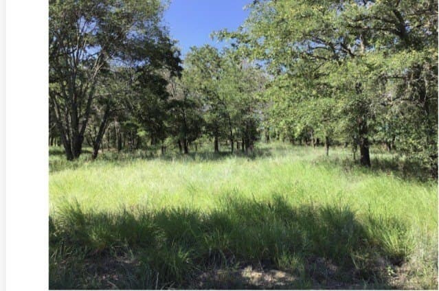 1.26 acres in Wise County - photo 11
