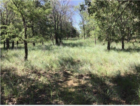 1.26 acres in Wise County - photo 7
