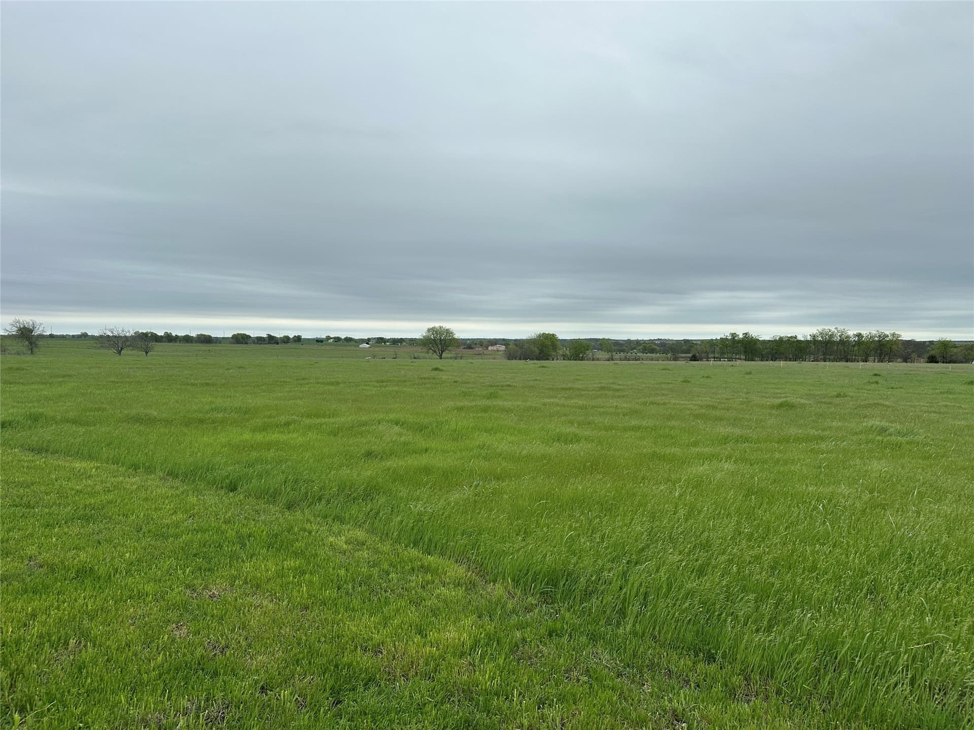 2 acres in Cooke County - photo 11