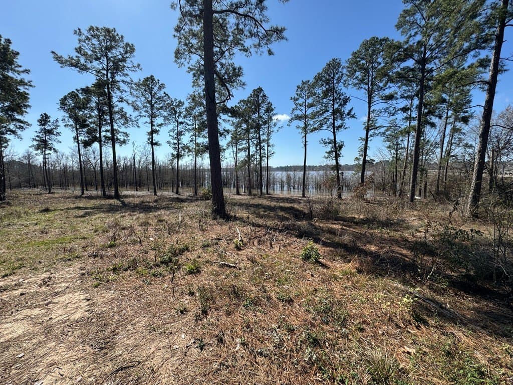 1.5 acres in Texas County - photo 16