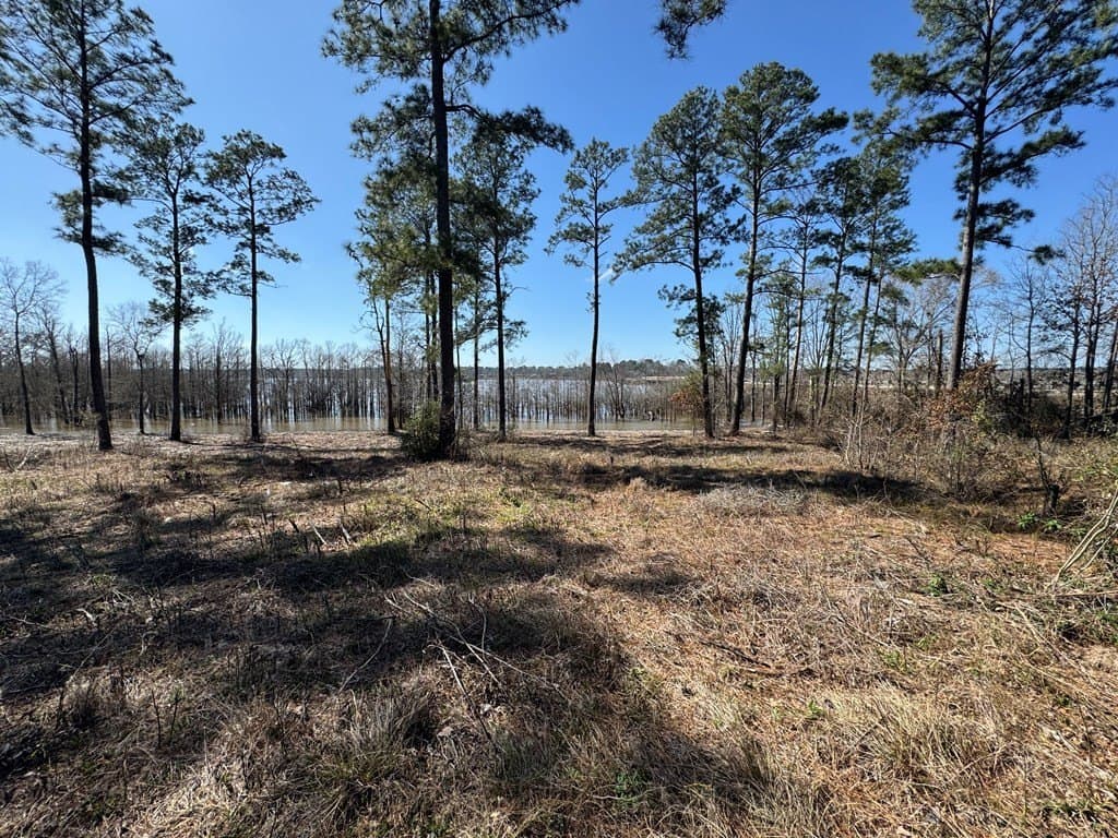 1.5 acres in Texas County - photo 29