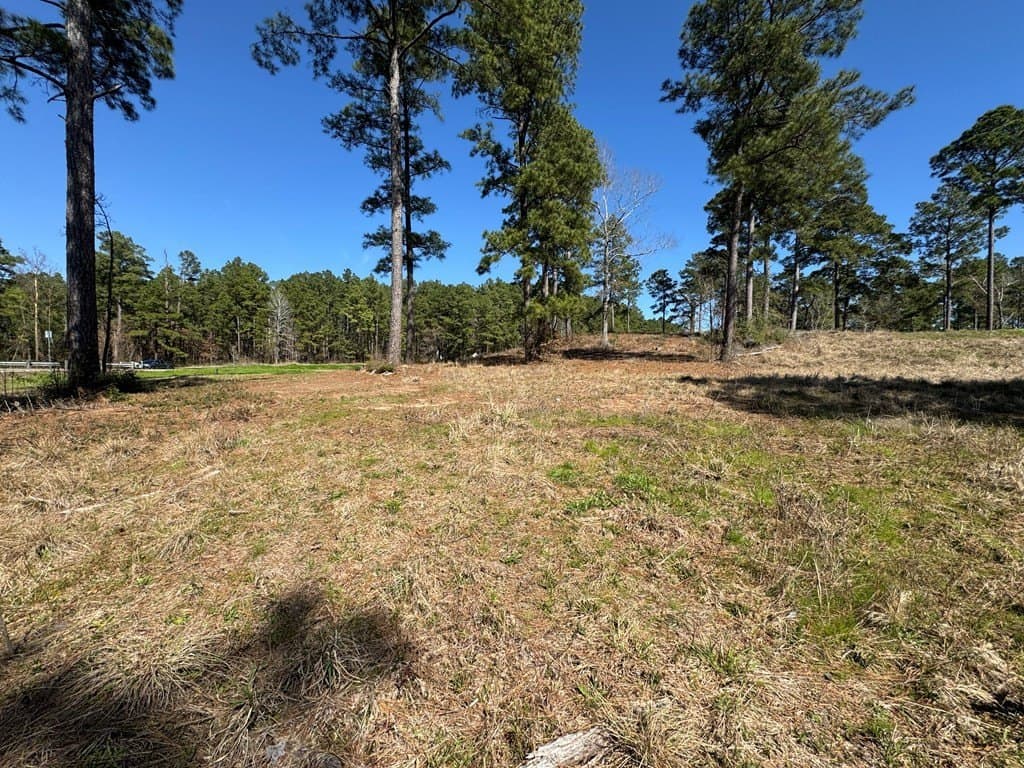 1.5 acres in Texas County - photo 6
