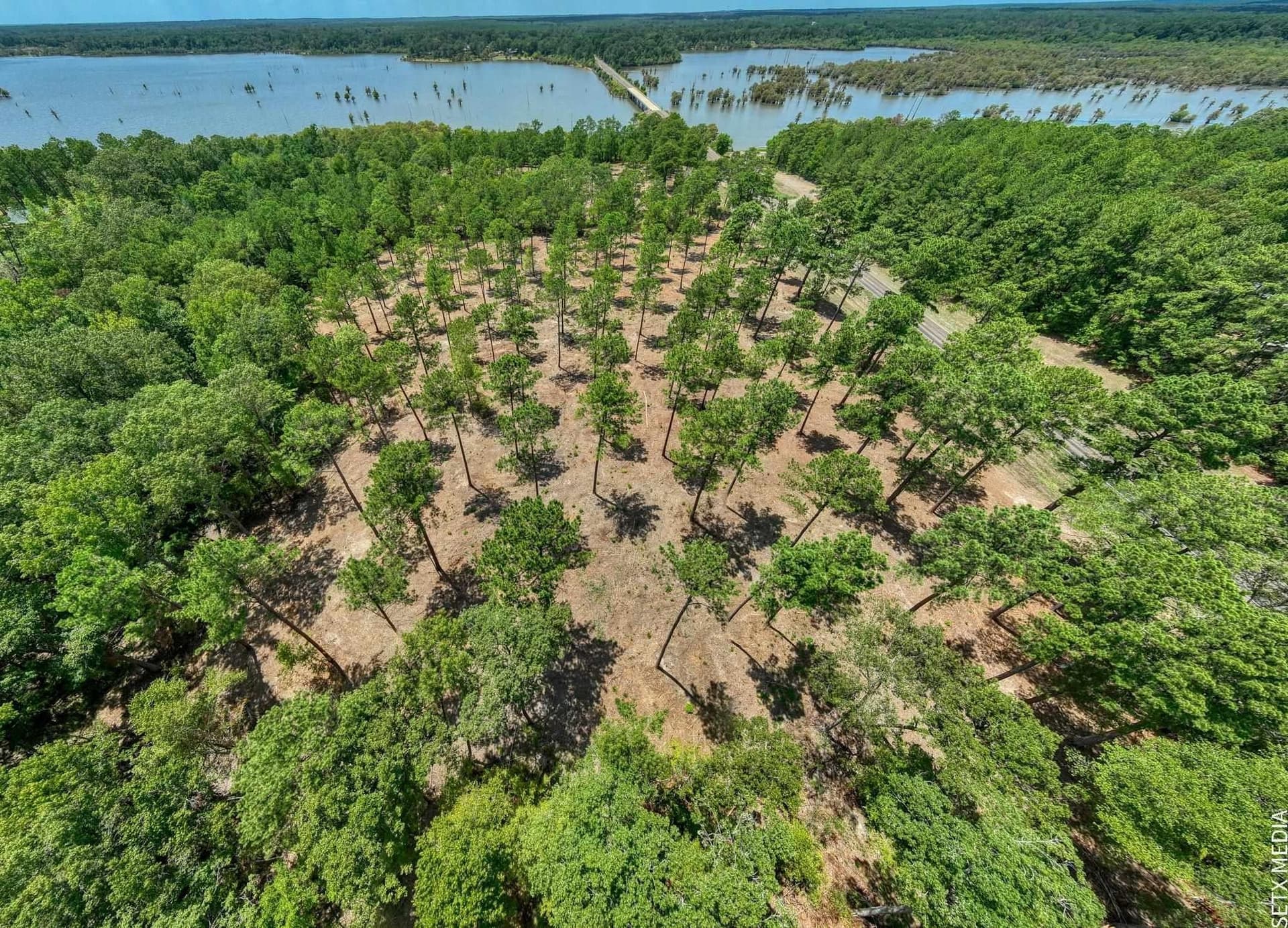 1.5 acres in Texas County - photo 30